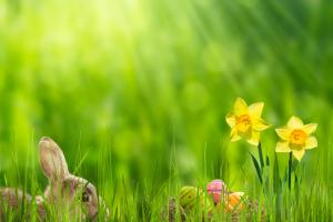 Météo de Pâques : les 10 départements où il fera plus de 25°C ce lundi 6 avril