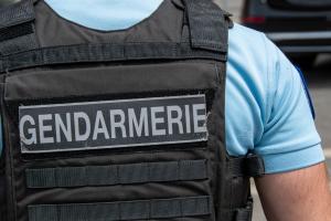 Double meurtre dans les Ardennes : la petite-fille de 16 ans et son compagnon de 15 ans reconnaissent les faits en garde à vue