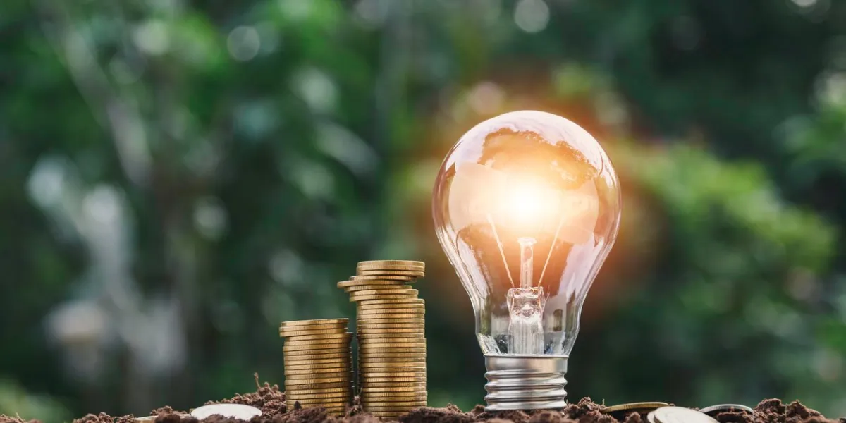 light bulb with coins beside and young plant on top concept put on the soil in soft green nature background