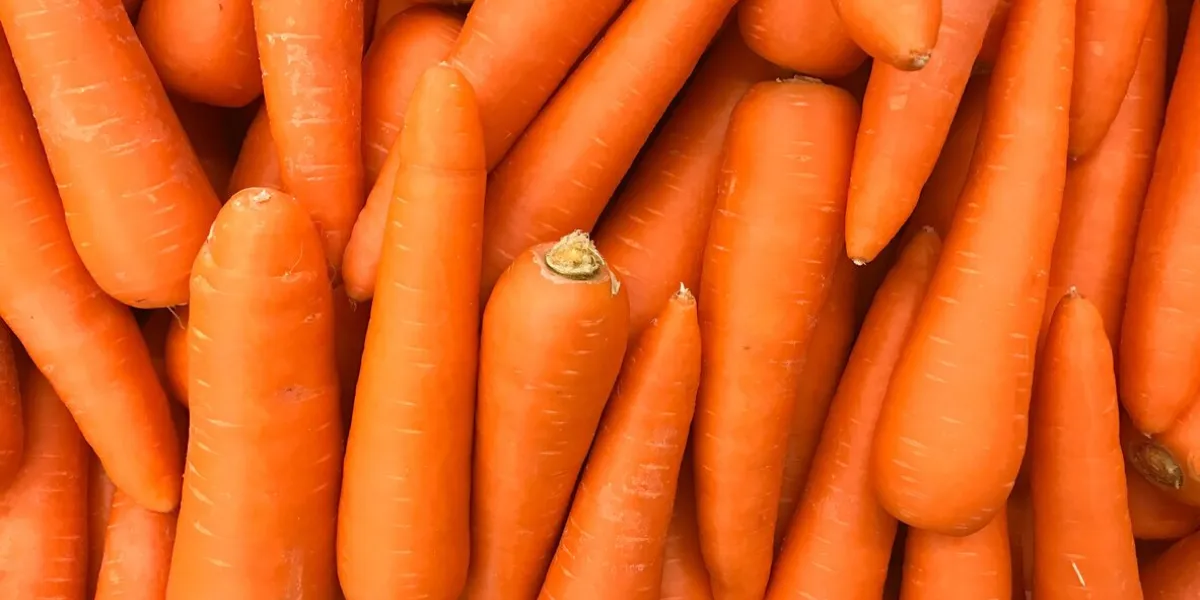 close up of textured image of carrots in department store shelves or supermarket