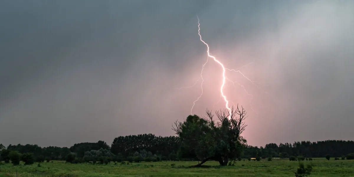 a lightning bolt strikes behind a row of trees in a rural landscape