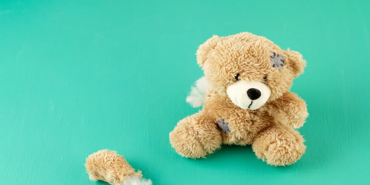 Peluche déchirée