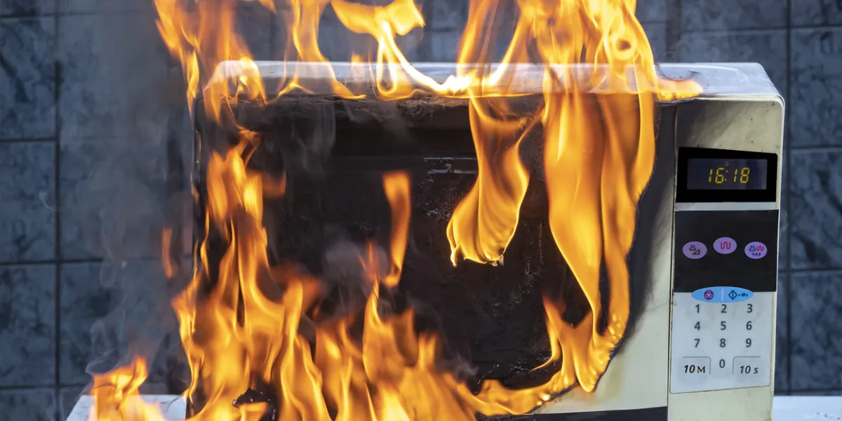 Micro-ondes feu