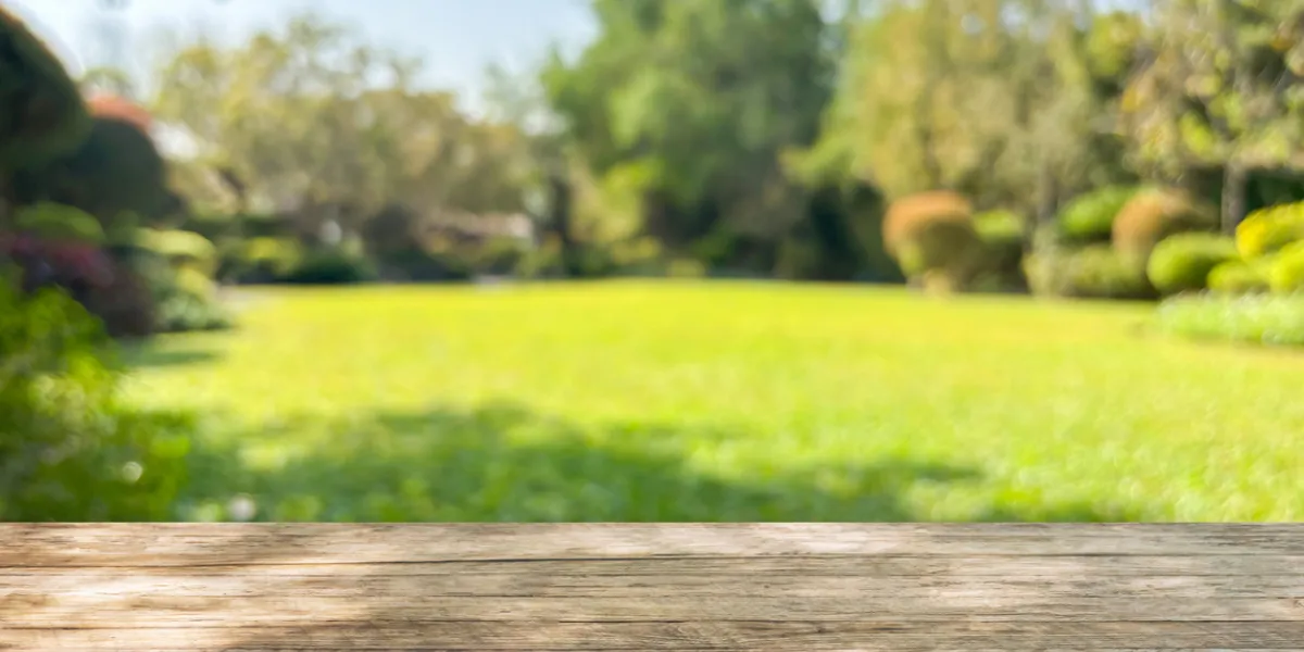 Sinistre dans le jardin : l’erreur d’assurance à éviter absolument