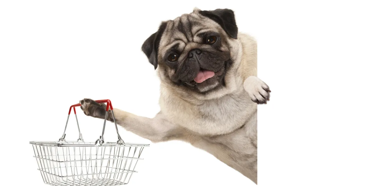 Alimentation animaux