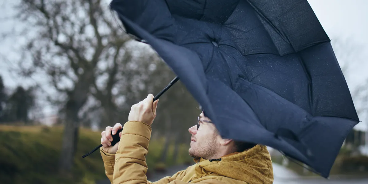 Tempête Claudia : ces 16 départements où le vent va frapper très fort demain 