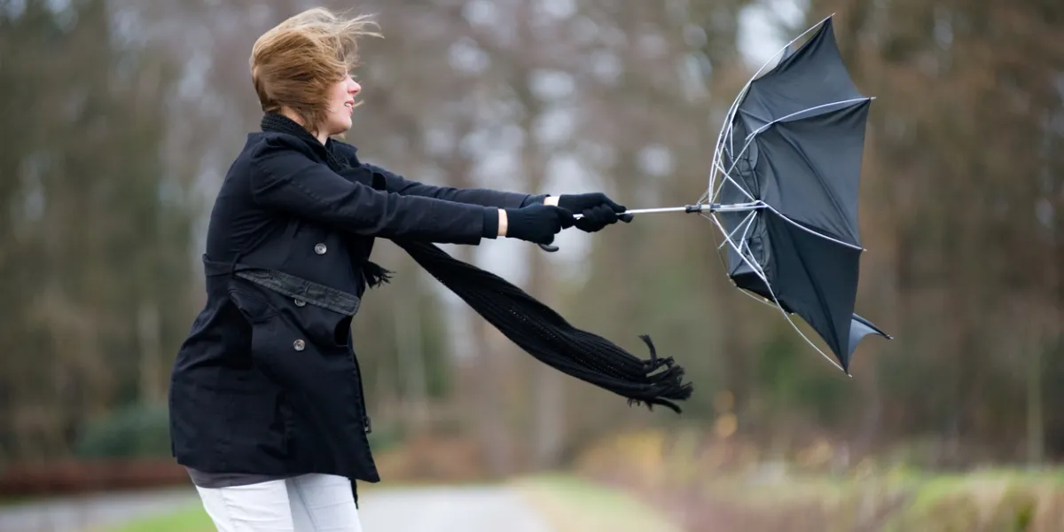 Météo : ces départements où les vents vont se déchaîner demain 