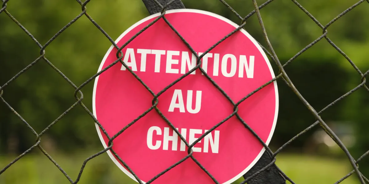 Panneau attention au chien