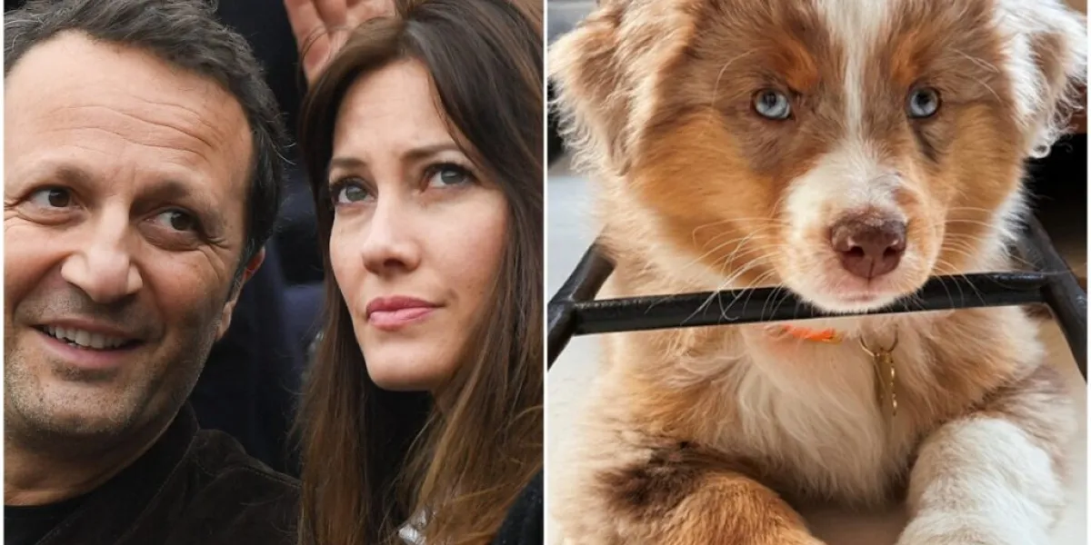 Après son compagnon Arthur, Mareva Galanter publie à son tour des photos de l’adorable Aïto, nouveau membre de leur famille