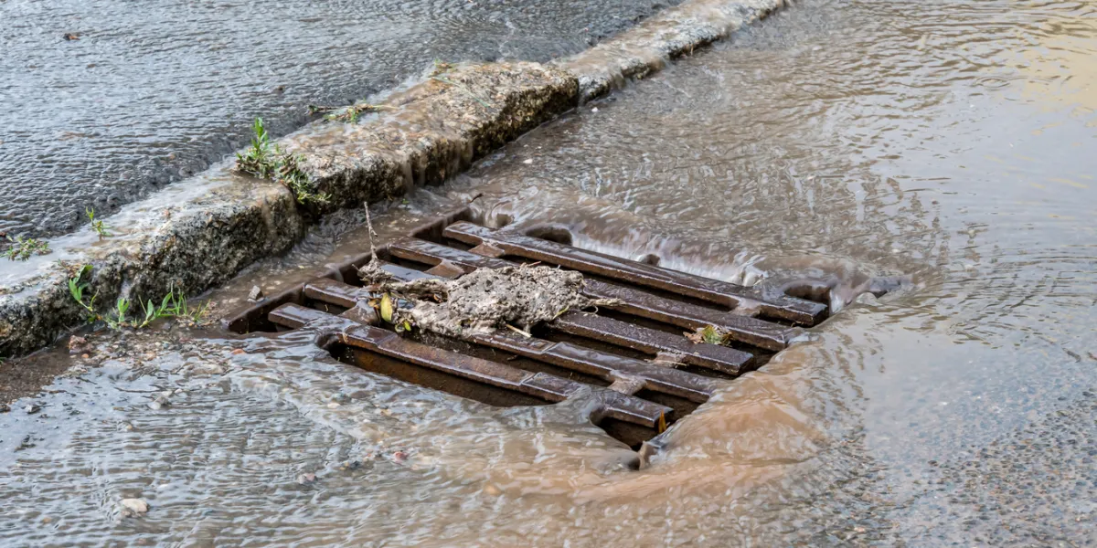 Forte pluie