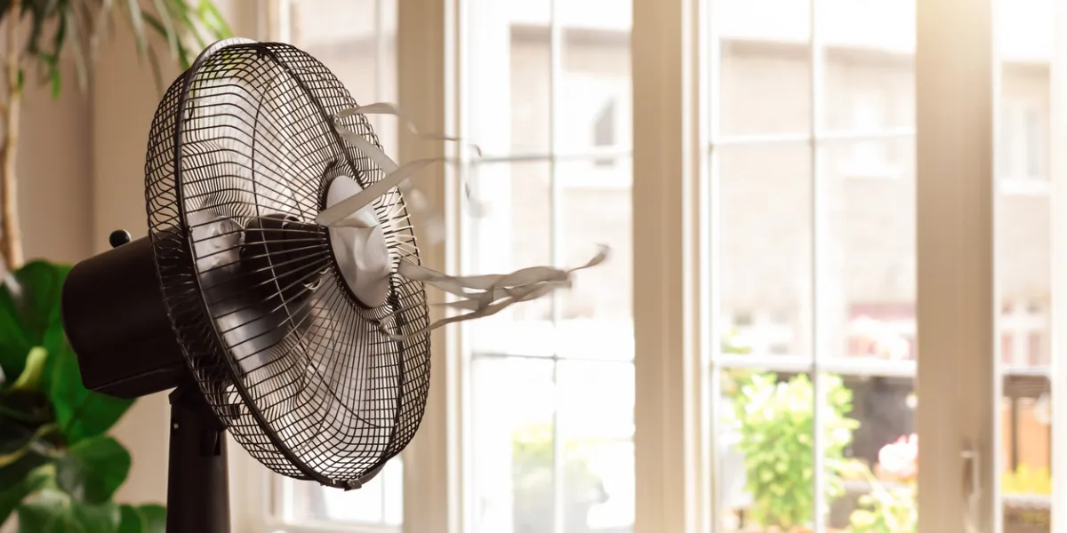Canicule : combien coûte vraiment un ventilateur utilisé toute la journée ?