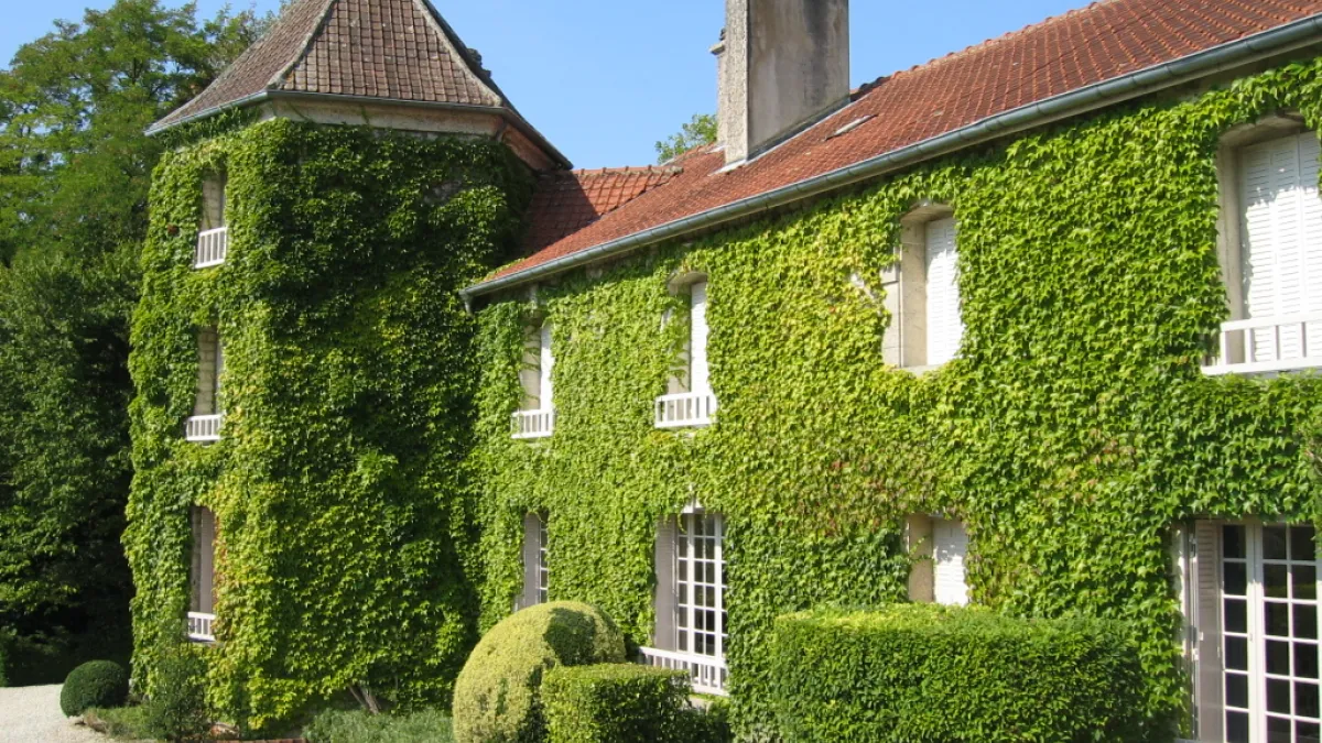 La Boisserie De Gaulle