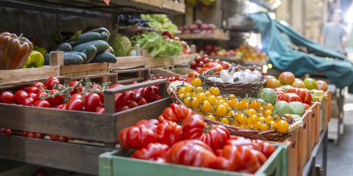 Chaleur : l'astuce du pot en terre cuite pour sauver les tomates sans arrosage quotidien