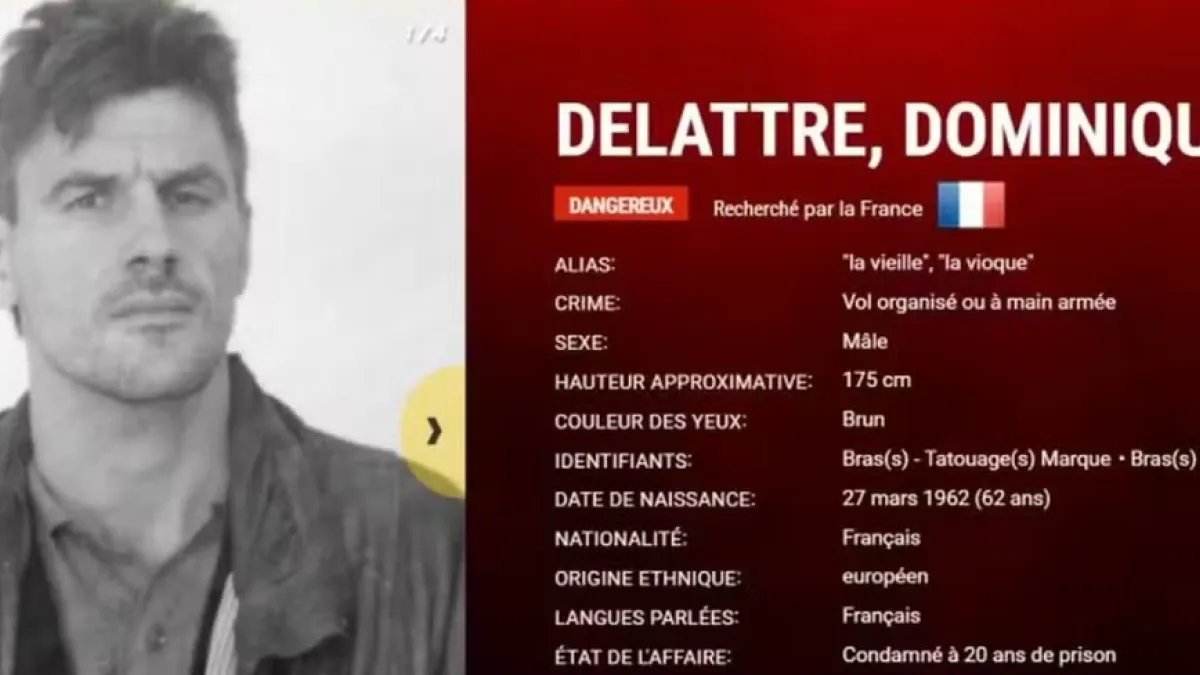 Avis de recherche Dominique Delattre