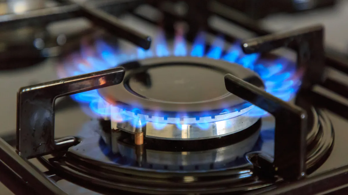 Brûleur à gaz