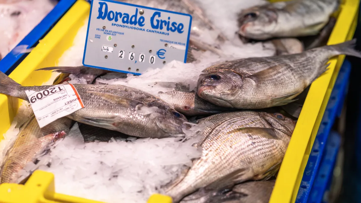 Etal de poissonnerie en France