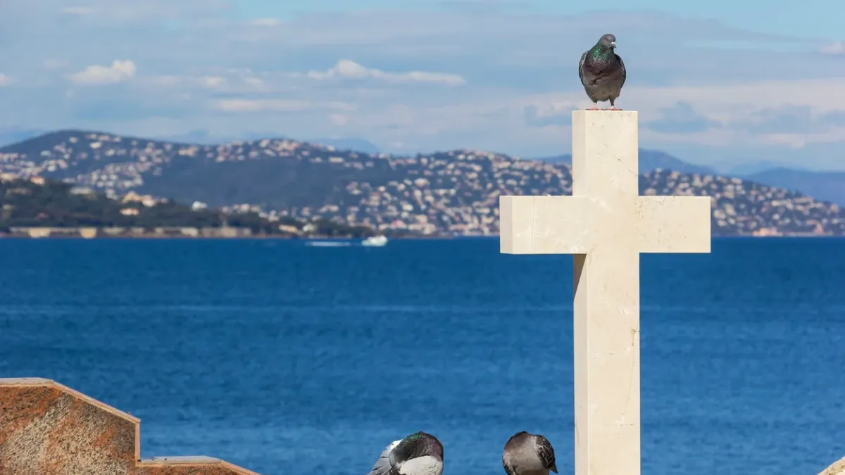 Cimetière Saint-Tropez