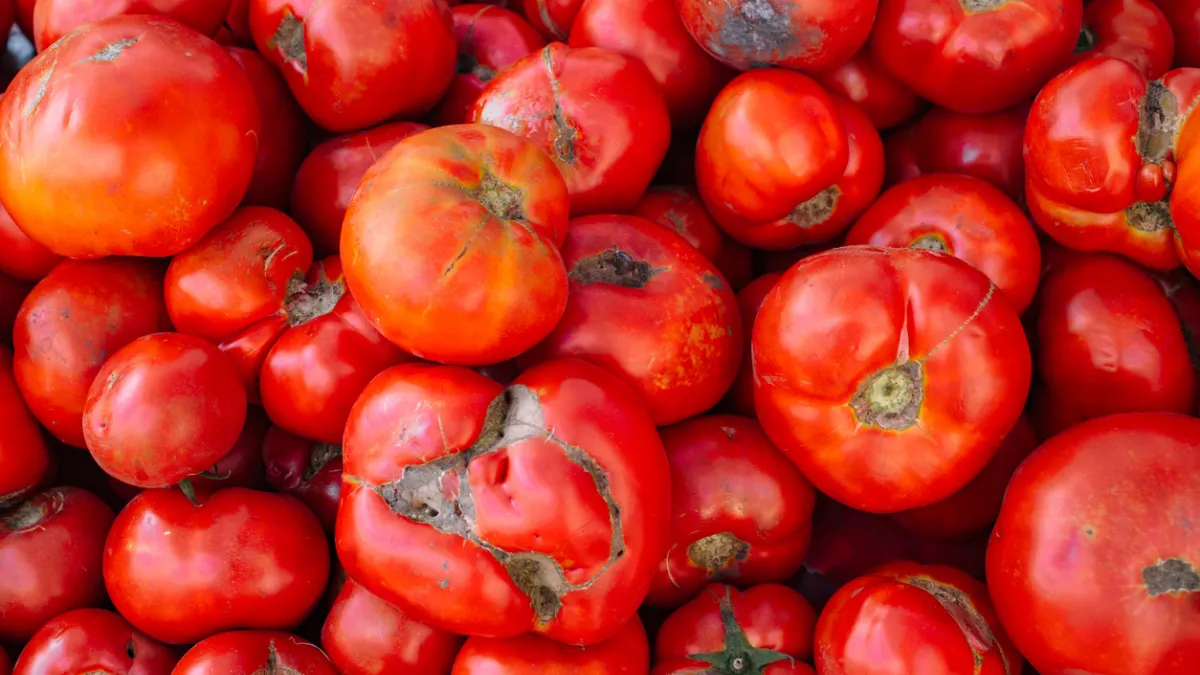 Pourquoi les fruits et légumes vont être plus « moches » dans les prochaines semaines