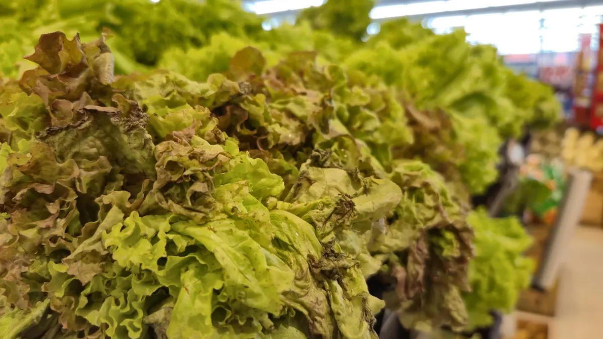Salades supermarché