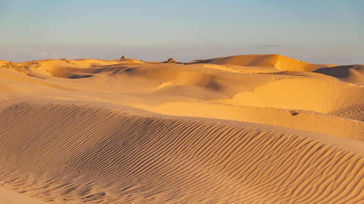 Sahara