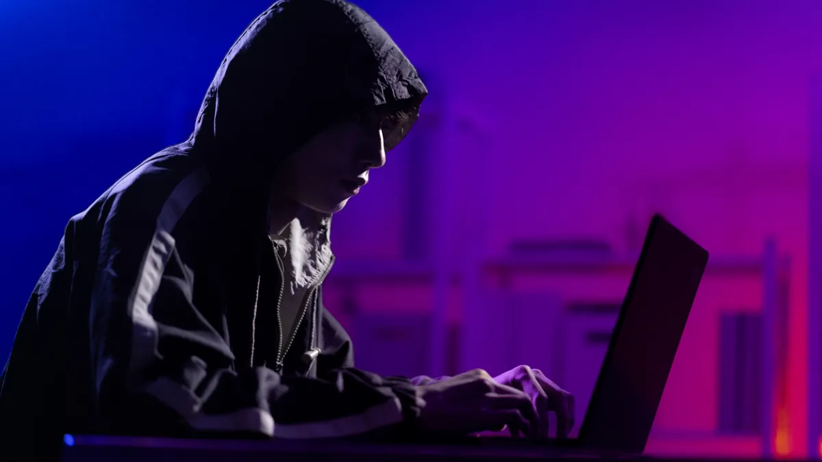 Pirate informatique