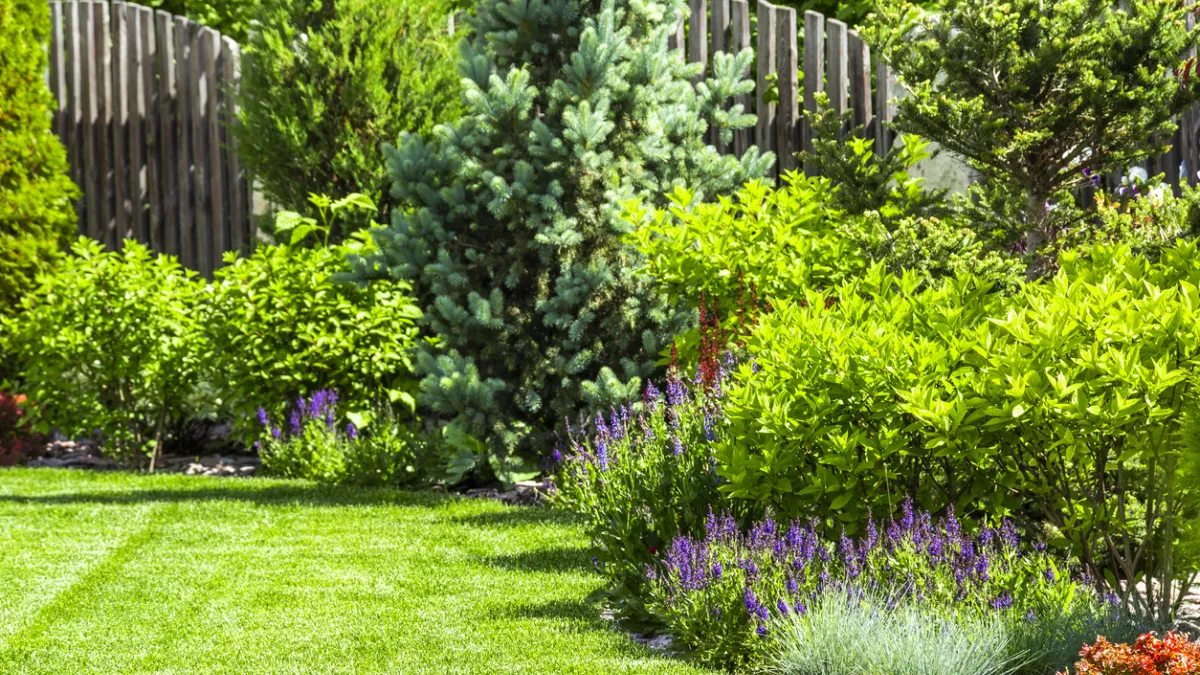 Jardin