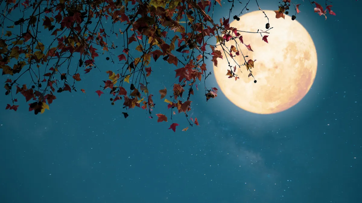 Pleine lune