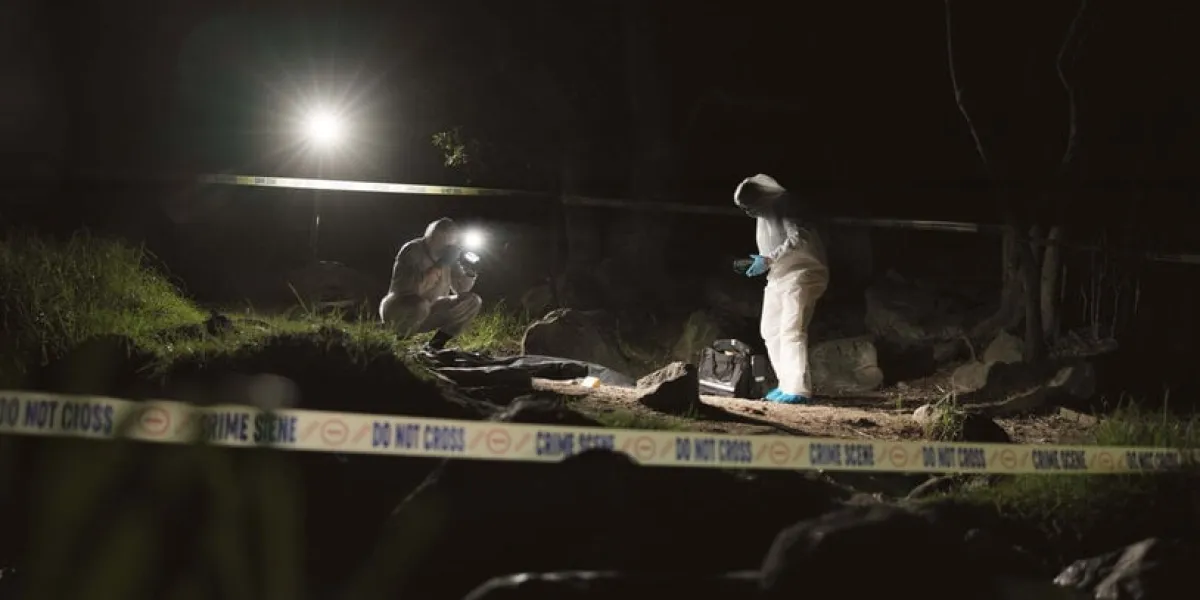 forensic team, photographer and crime scene at night for investigation or observation with hazmat or police tape collaboration, expert investigator or outdoor in forest for evidence or case research