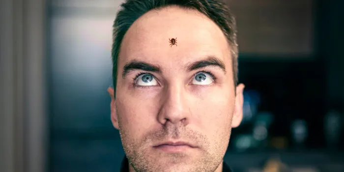 a tick crawls on the head of a man a young guy was scared of an insect the concept of fear of insects