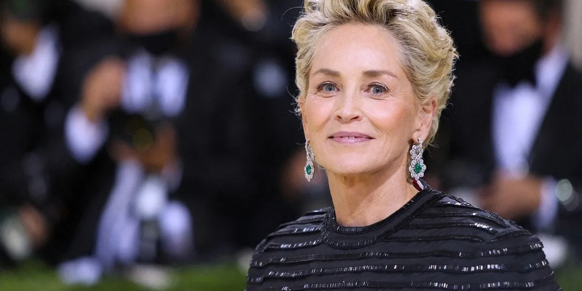 metropolitan museum of art costume institute gala - nyc