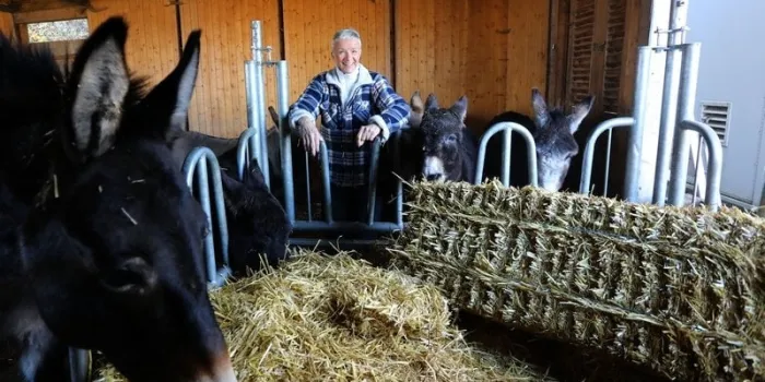 paulette canton du valais en suisse