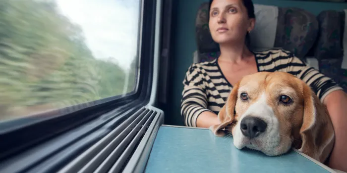 woman with dog in the train wagon