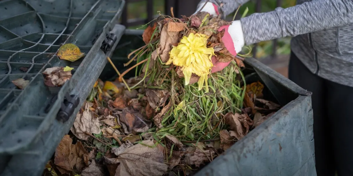 close up view of woman throwing garden waste into compost bin in garden zero waste, sustainability and environmental protection concept