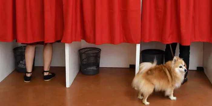 un chien attend à l'extérieur des isoloirs à un bureau de vote à castelsarrasin, dans le sud de la france, lors du premier tour des élections législatives françaises du 11 juin 2017 afp photo pascal pavani
