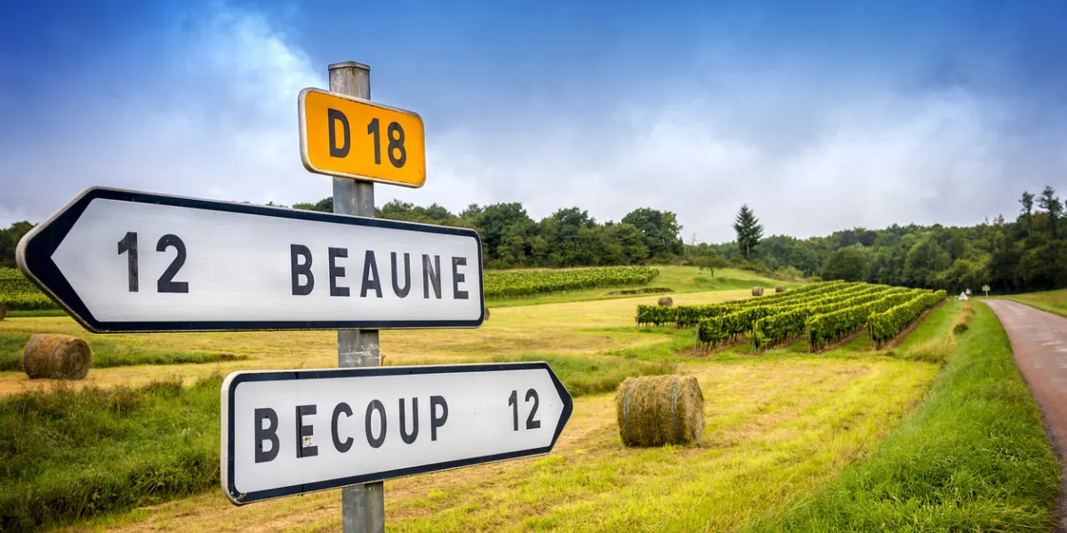 burgundy, a panoramic road that crosses the wine region and makes us know the major producers and their vineyards
