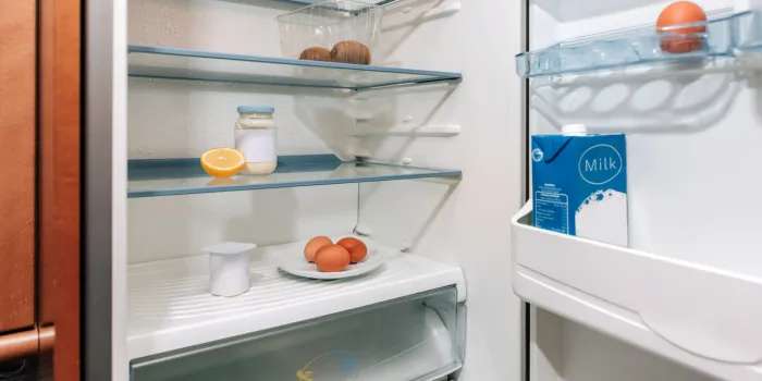 fridge interior almost empty due to economic crisis