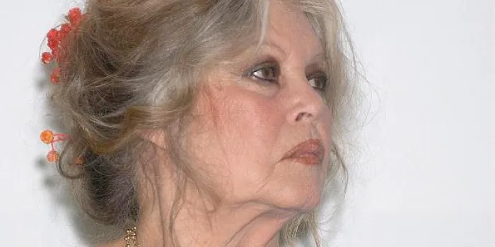 l'actrice française brigitte bardot lors de la cérémonie de clôture du 6ème festival de la fiction télé à saint-tropez le 18 septembre 2004 photo de giancarlo gorassini abaca