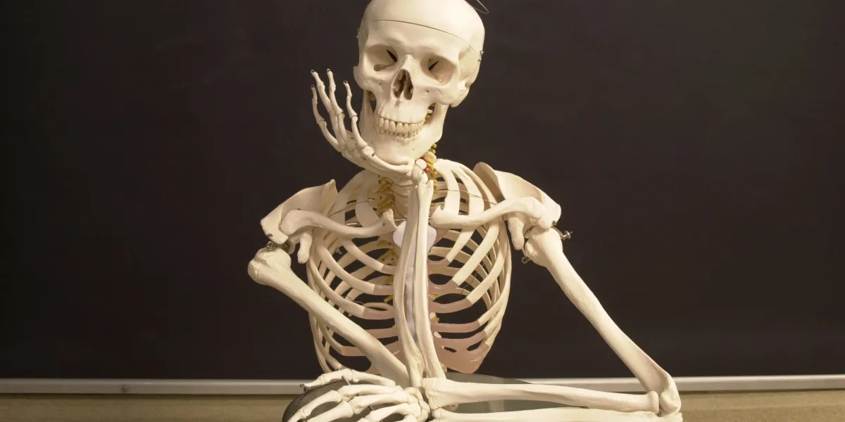 portrait of my friend fred