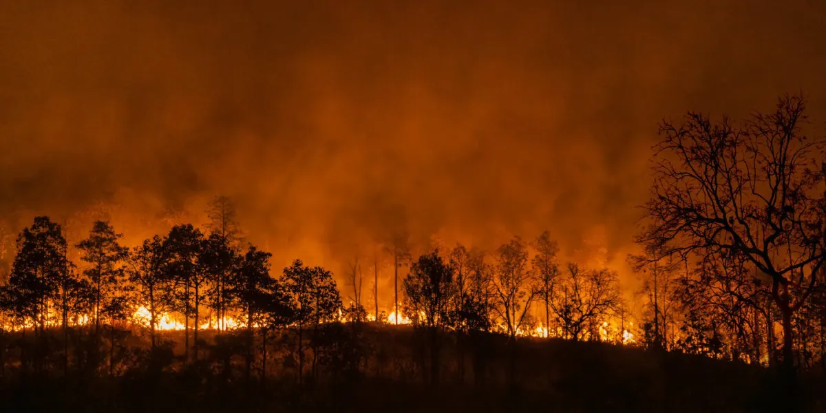 el nino weather phenomenon cause drought and increase wildfire