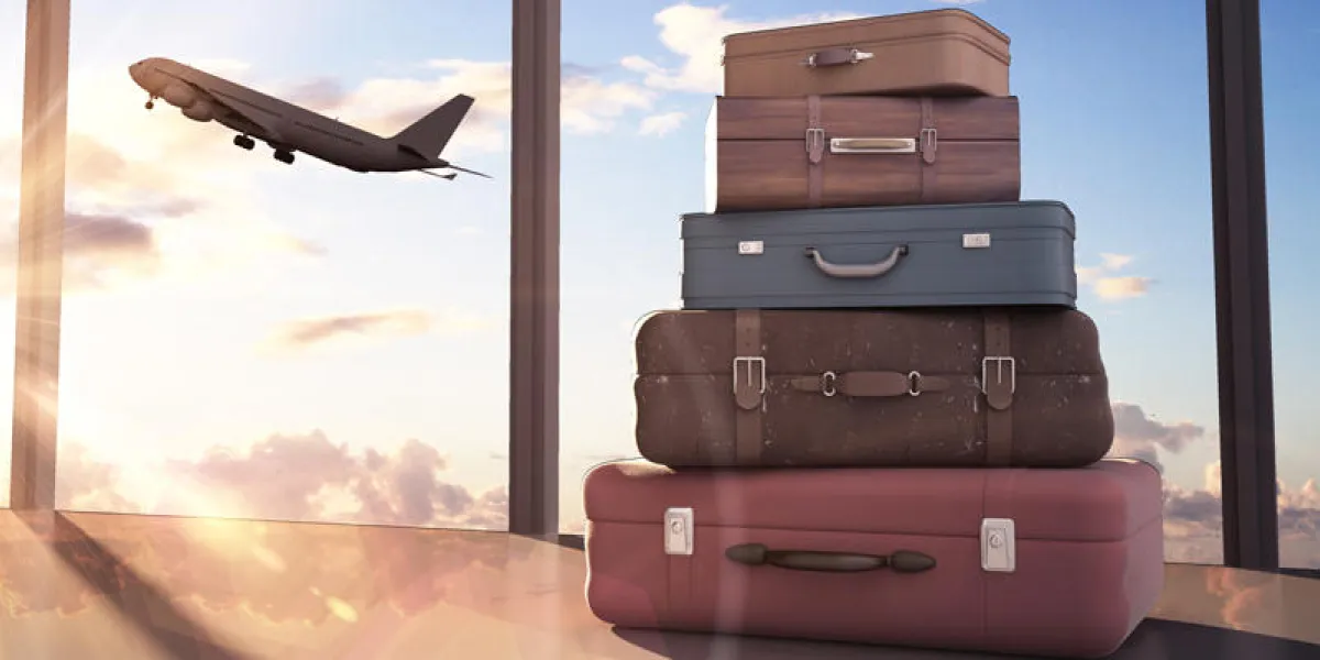 sacs de voyage et avion dans le ciel