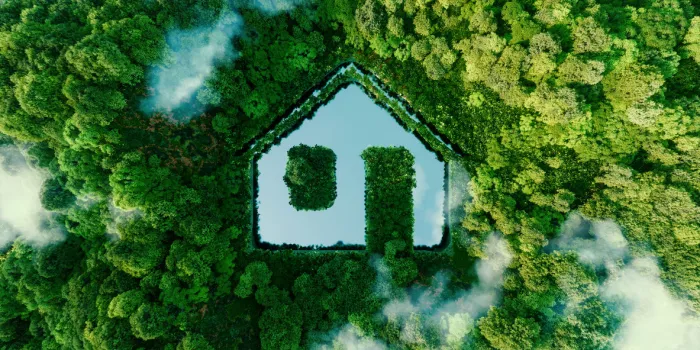 concept depicting new possibilities for the development of sustainable construction technologies and green living the form of a house-shaped pond located in a lush forest 3d rendering