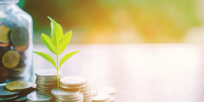 plant growing from coins outside the glass jar on blurred green natural background with copy space and sunlight effect for investment, business and financial growth concept