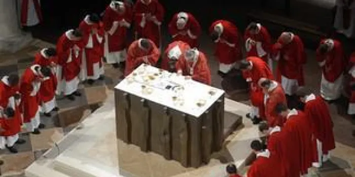 © dpa maxppp - priest ordinations à la cathédrale notre dame de paris - c uniquement pour la france