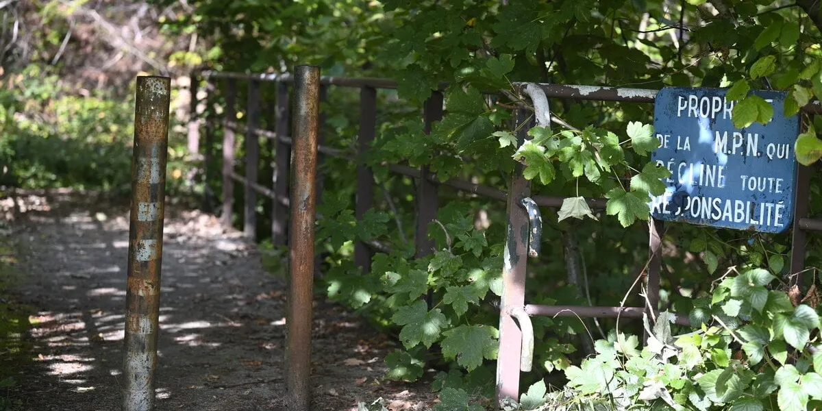 recherche de lina, une jeune fille de 15 ans disparue depuis cinq jours - saint-blaise-la-roche