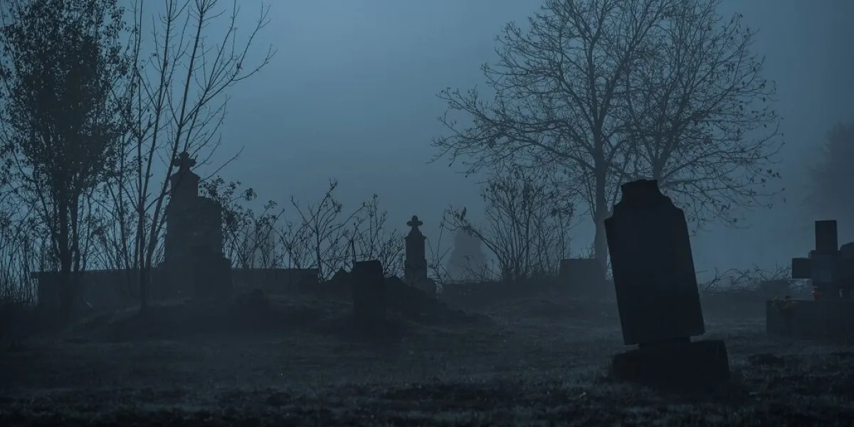 graveyard in fog