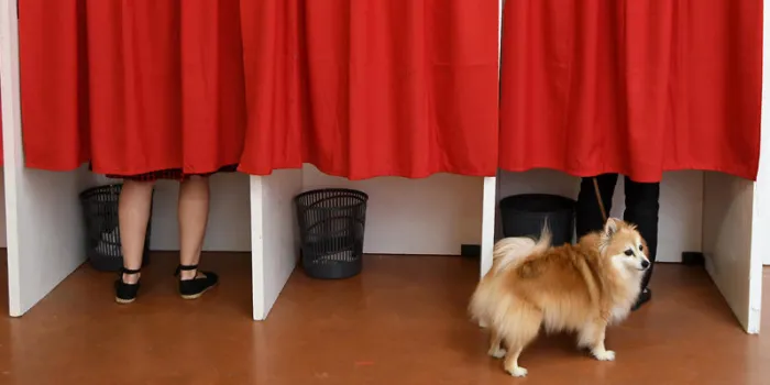 un chien attend à l'extérieur des isoloirs à un bureau de vote à castelsarrasin, dans le sud de la france, lors du premier tour des élections législatives françaises du 11 juin 2017 afp photo pascal pavani