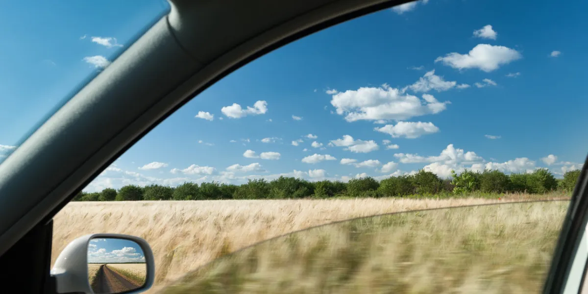 view from car window on wheat field