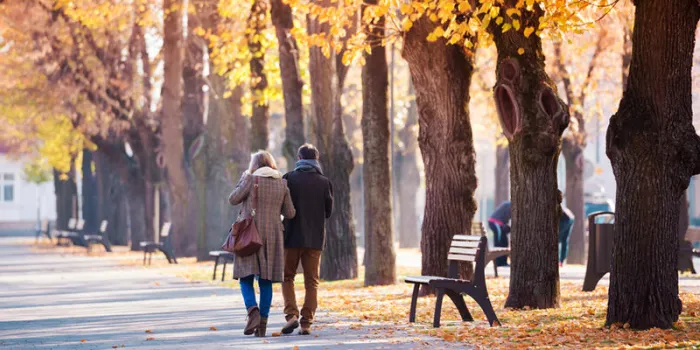 seniors actifs sur une promenade dans la ville d'automne