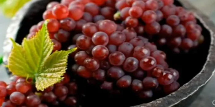 © jean-jacques datchary abaca 22088-16 paris-france, 22 11 2000 michel drucker à l'enregistrement du talkshow de michel drucker