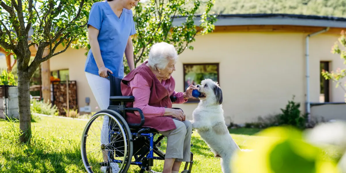 female caregiver showing cute dog to senior woman in wheelchair nurse and elderly woman enjoying a warm day outdoors, in garden